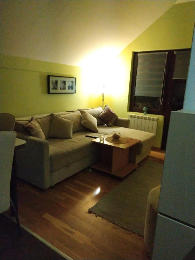 Apartment Gledovic Zlatibor Exteriér fotografie