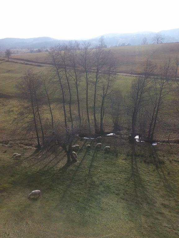 Apartment Gledovic Zlatibor Exteriér fotografie