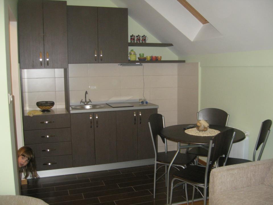 Apartment Gledovic Zlatibor Exteriér fotografie