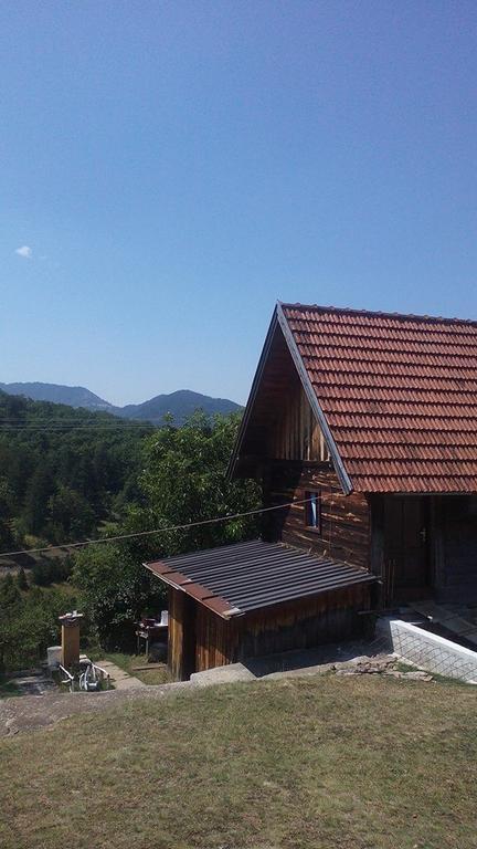 Apartment Gledovic Zlatibor Exteriér fotografie